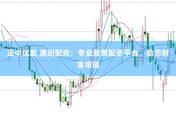 正中优配 通昭配资：专业股票配资平台，助您财富增值