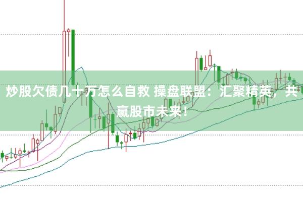 炒股欠债几十万怎么自救 操盘联盟：汇聚精英，共赢股市未来！