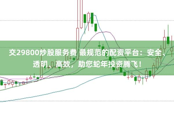 交29800炒股服务费 最规范的配资平台：安全、透明、高效，助您蛇年投资腾飞！