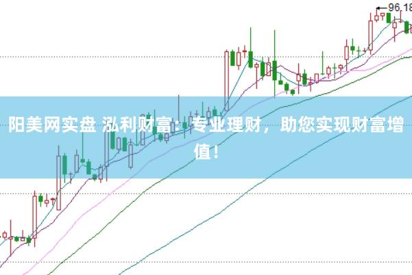 阳美网实盘 泓利财富：专业理财，助您实现财富增值！