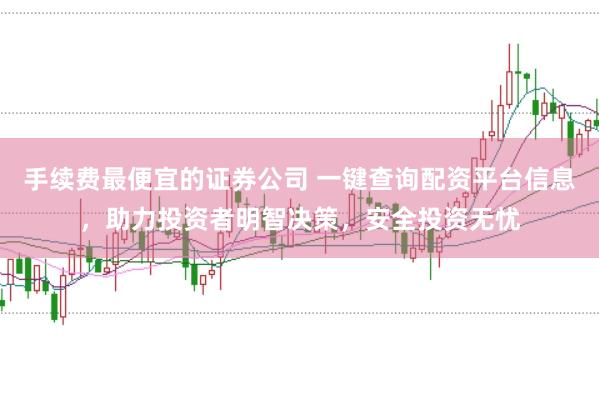 手续费最便宜的证券公司 一键查询配资平台信息,助力投资者明智决策,安全投资无忧