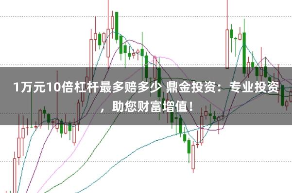 1万元10倍杠杆最多赔多少 鼎金投资：专业投资，助您财富增值！