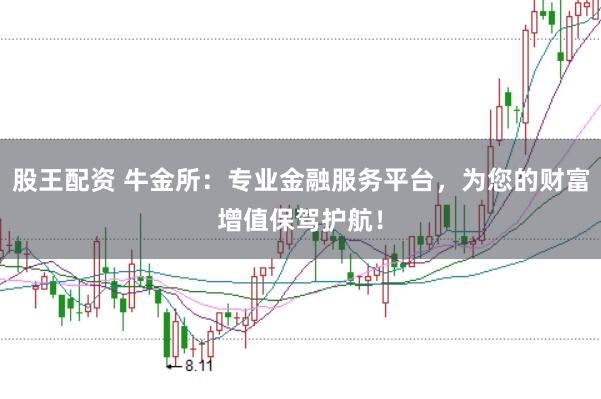 股王配资 牛金所：专业金融服务平台，为您的财富增值保驾护航！