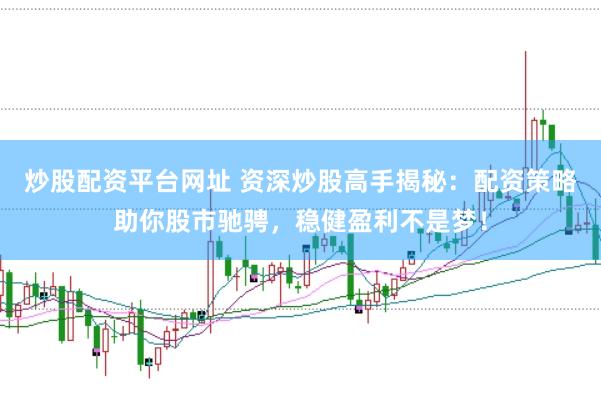 炒股配资平台网址 资深炒股高手揭秘：配资策略助你股市驰骋，稳健盈利不是梦！
