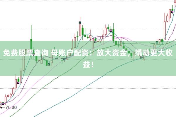 免费股票查询 母账户配资：放大资金，撬动更大收益！