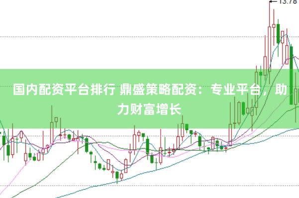国内配资平台排行 鼎盛策略配资：专业平台，助力财富增长