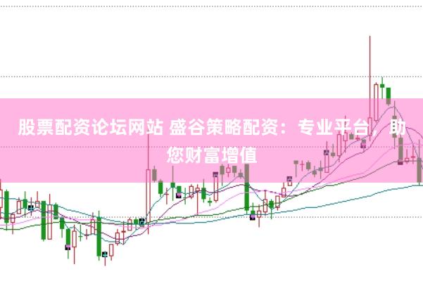 股票配资论坛网站 盛谷策略配资：专业平台，助您财富增值