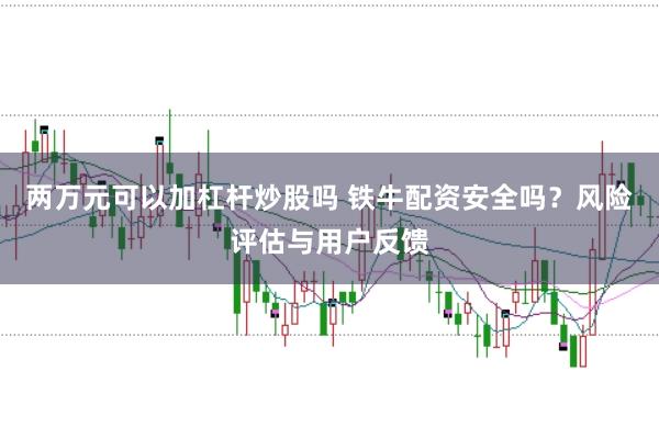 两万元可以加杠杆炒股吗 铁牛配资安全吗？风险评估与用户反馈