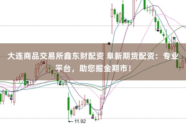 大连商品交易所鑫东财配资 阜新期货配资：专业平台，助您掘金期市！