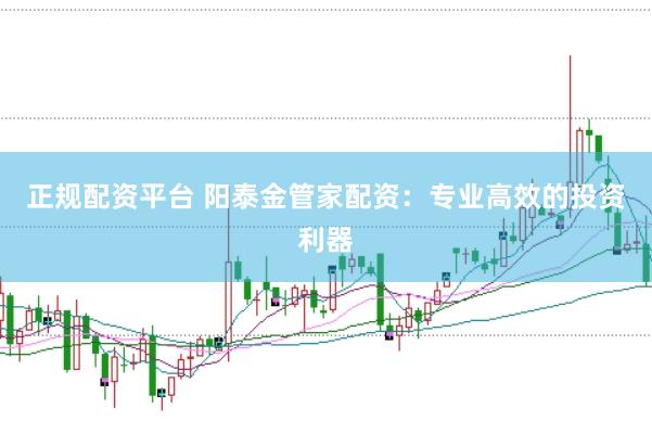 正规配资平台 阳泰金管家配资：专业高效的投资利器