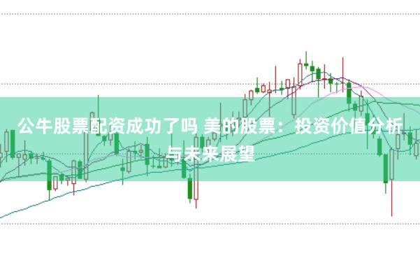 公牛股票配资成功了吗 美的股票：投资价值分析与未来展望