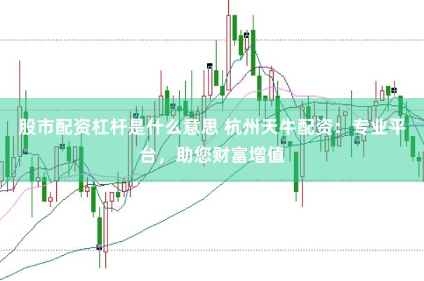 股市配资杠杆是什么意思 杭州天牛配资：专业平台，助您财富增值