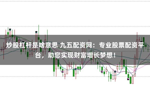 炒股杠杆是啥意思 九五配资网：专业股票配资平台，助您实现财富增长梦想！