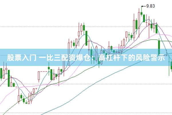 股票入门 一比三配资爆仓：高杠杆下的风险警示