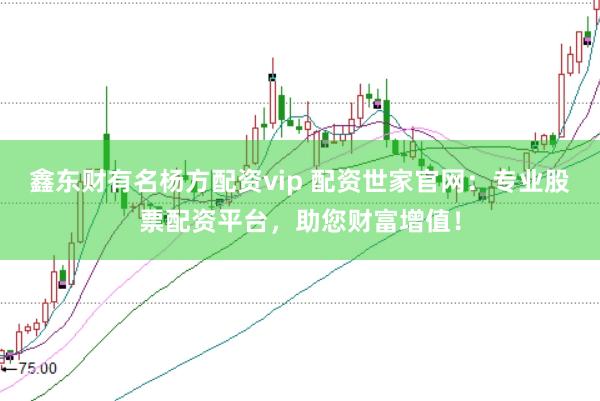 鑫东财有名杨方配资vip 配资世家官网：专业股票配资平台，助您财富增值！