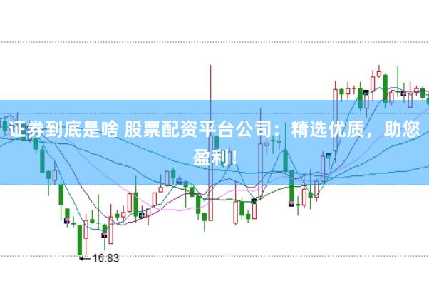 证券到底是啥 股票配资平台公司：精选优质，助您盈利！