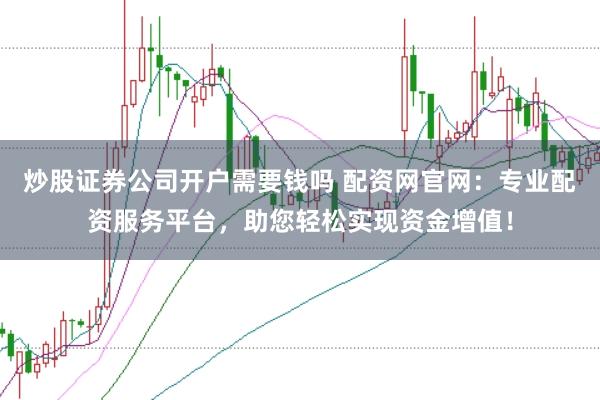 炒股证券公司开户需要钱吗 配资网官网:专业配资服务平台,助您轻松实现资金增值!