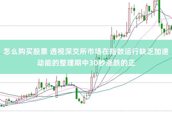 怎么购买股票 透视深交所市场在指数运行缺乏加速动能的整理期中30秒涨跌的正