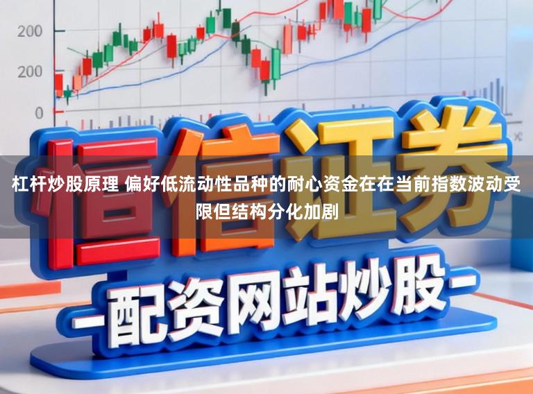 杠杆炒股原理 偏好低流动性品种的耐心资金在在当前指数波动受限但结构分化加剧