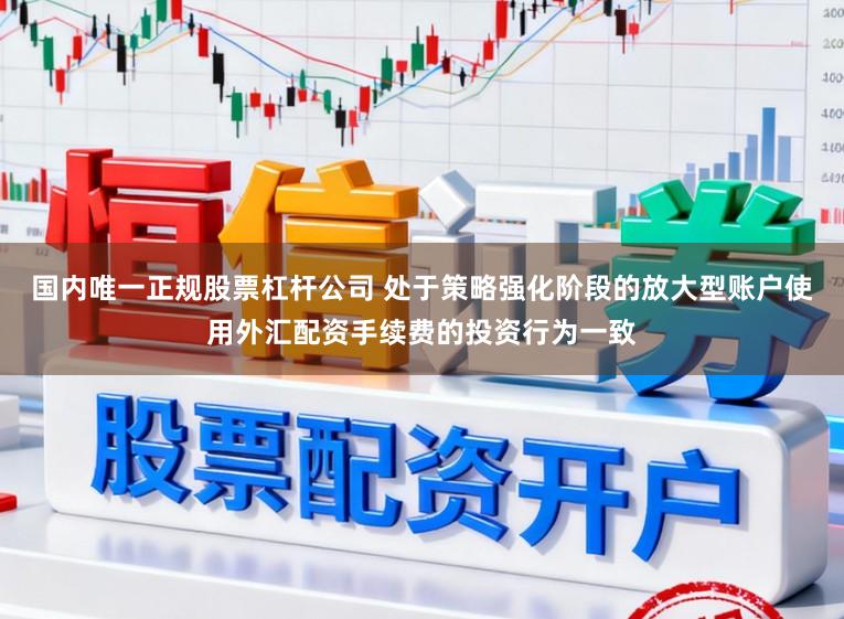 国内唯一正规股票杠杆公司 处于策略强化阶段的放大型账户使用外汇配资手续费的投资行为一致