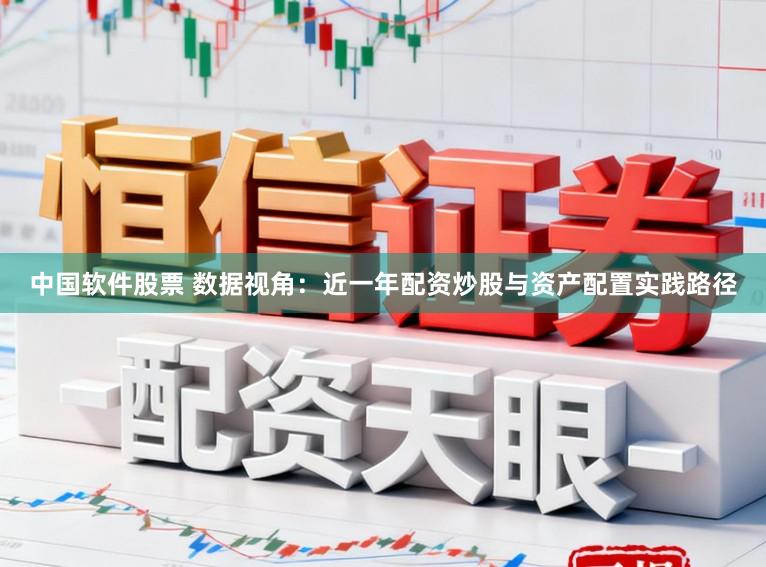 中国软件股票 数据视角：近一年配资炒股与资产配置实践路径